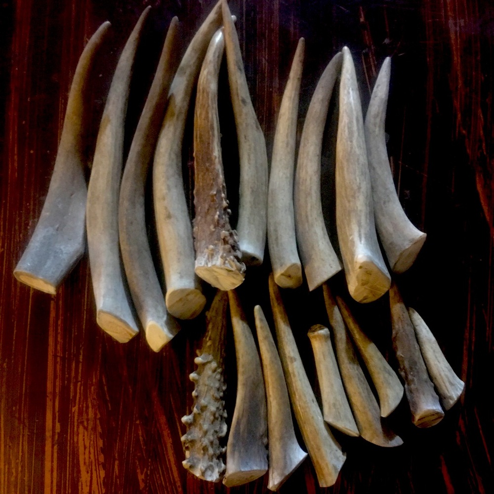 Antler Tines